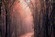 汽车滤清器油杯的作用和功能视频,油液滤清器